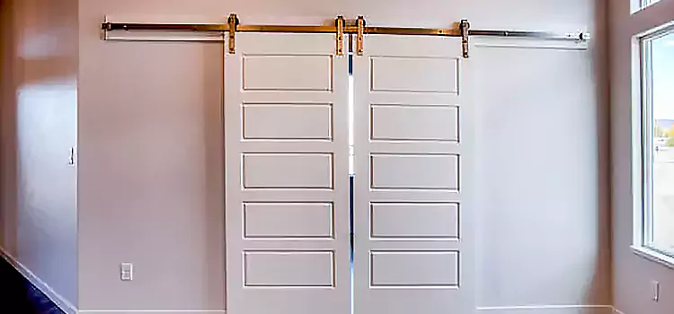 Glass Barn Door with Installation Hardware Kit Staunton